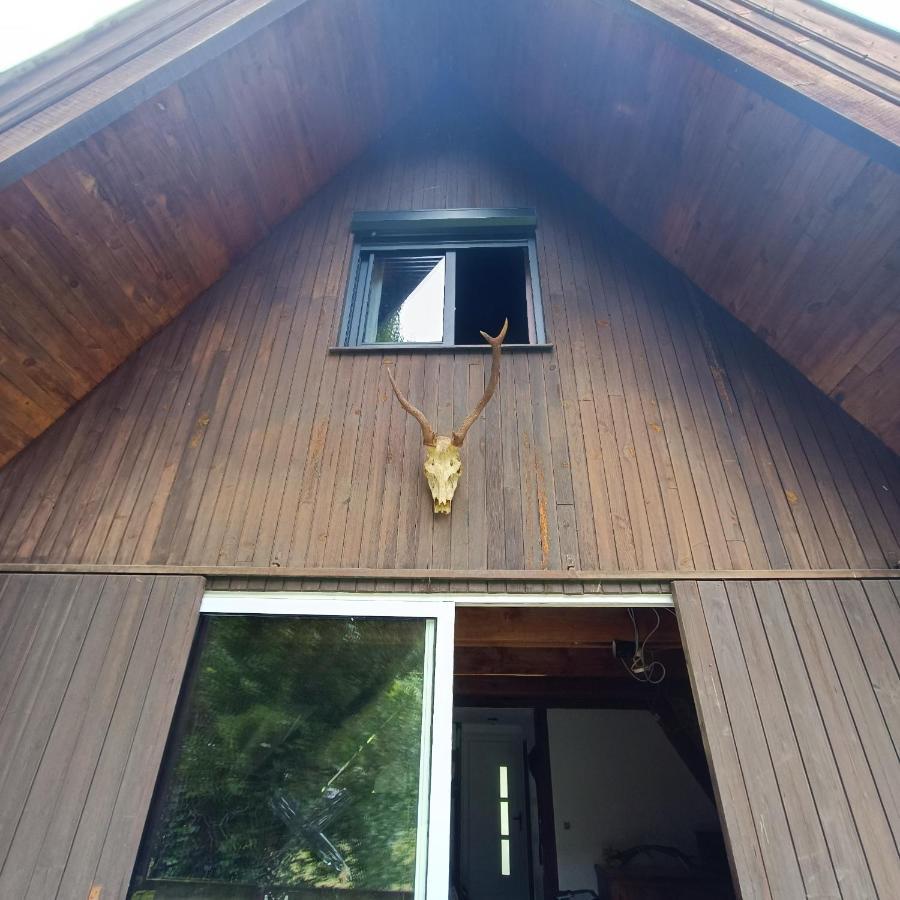 Chalet- Vallee De Luchon - Vallee De La Pique Cierp Kültér fotó