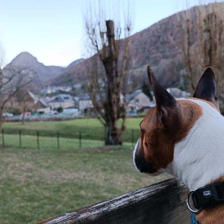 Chalet- Vallee De Luchon - Vallee De La Pique Cierp Kültér fotó